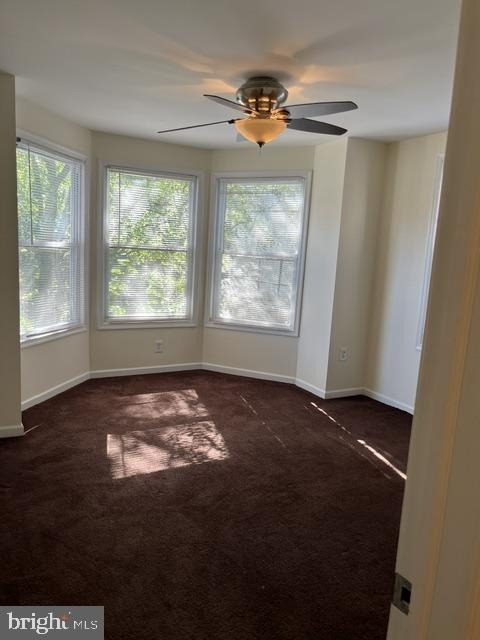 4514 Springfield Avenue - Photo 8