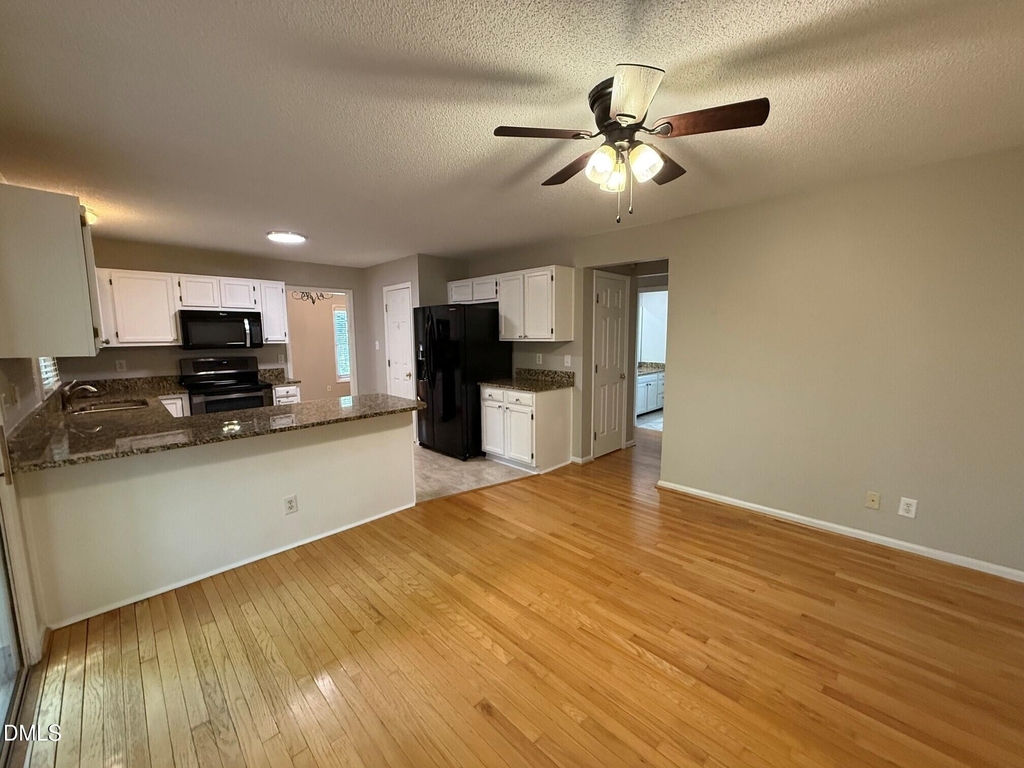223 Mint Hill Drive - Photo 10
