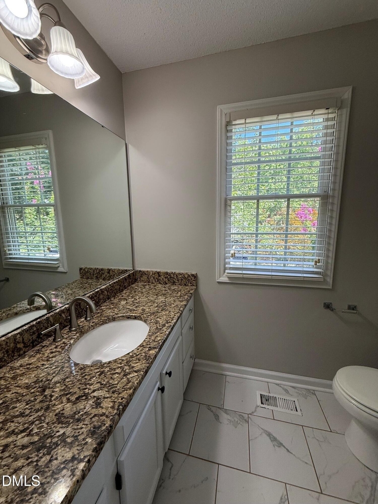 223 Mint Hill Drive - Photo 13