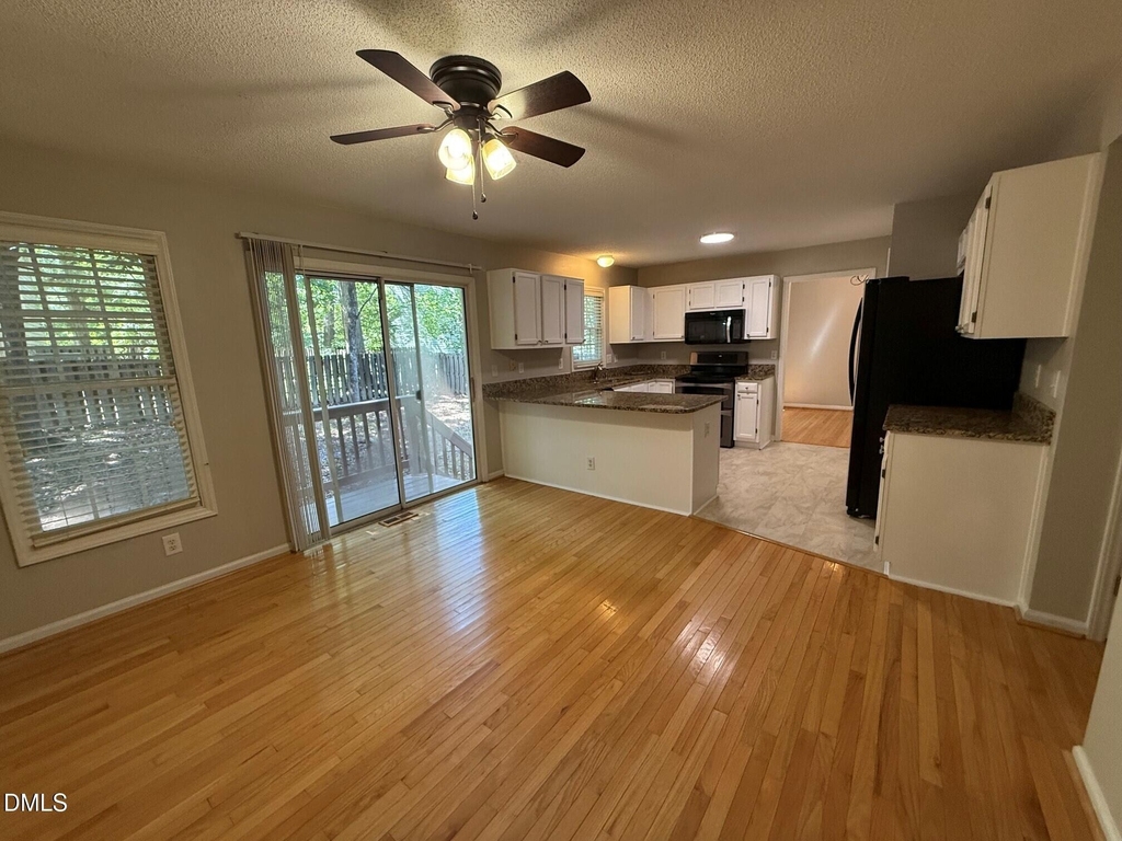 223 Mint Hill Drive - Photo 9