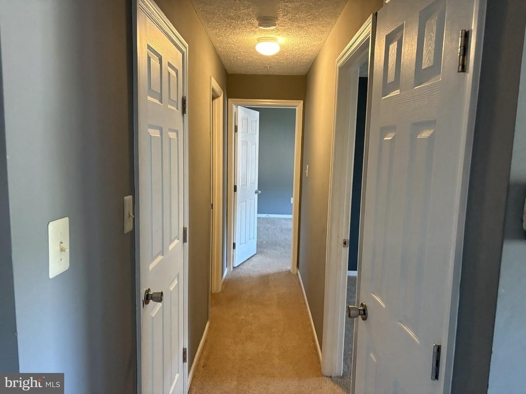 902 Swallow Crest Court - Photo 4