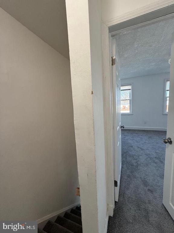 3641 Dudley Avenue - Photo 23