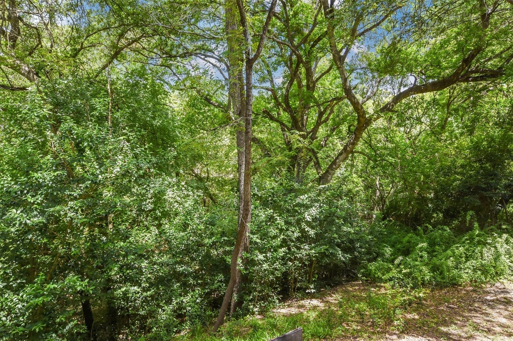 3839 Dry Creek Dr - Photo 19