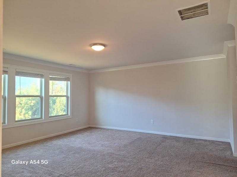 3505 Morgan Road - Photo 18