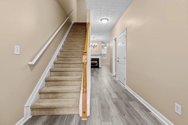 4932 Vireo Drive - Photo 1