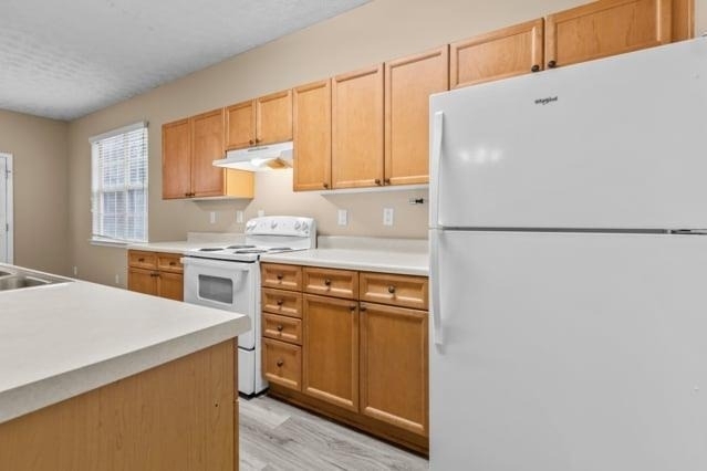 4932 Vireo Drive - Photo 12
