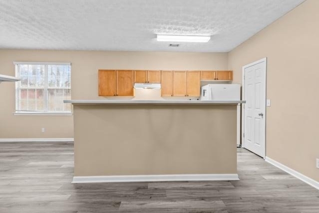 4932 Vireo Drive - Photo 8