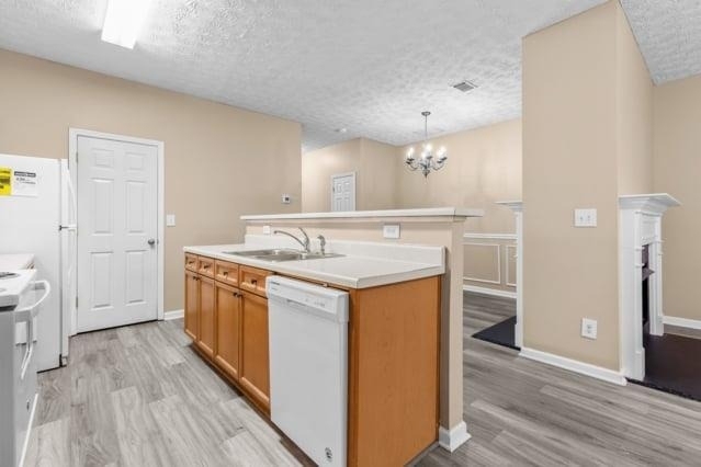 4932 Vireo Drive - Photo 10