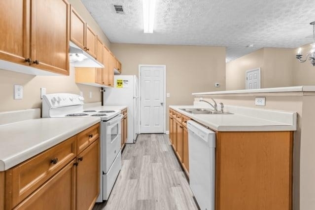 4932 Vireo Drive - Photo 9