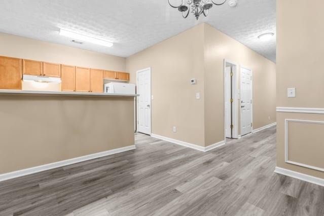 4932 Vireo Drive - Photo 6