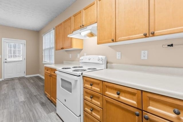 4932 Vireo Drive - Photo 14