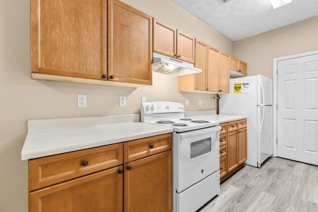 4932 Vireo Drive - Photo 11