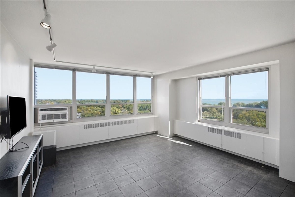 3950 N Lake Shore Drive - Photo 5