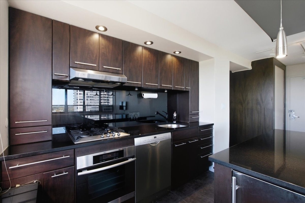 3950 N Lake Shore Drive - Photo 1
