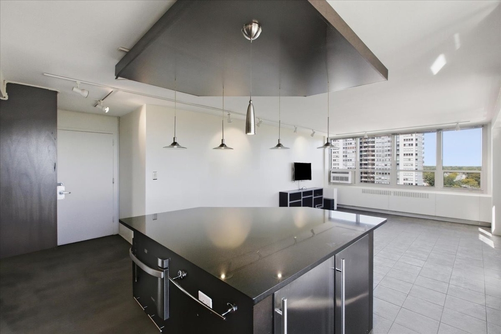 3950 N Lake Shore Drive - Photo 4