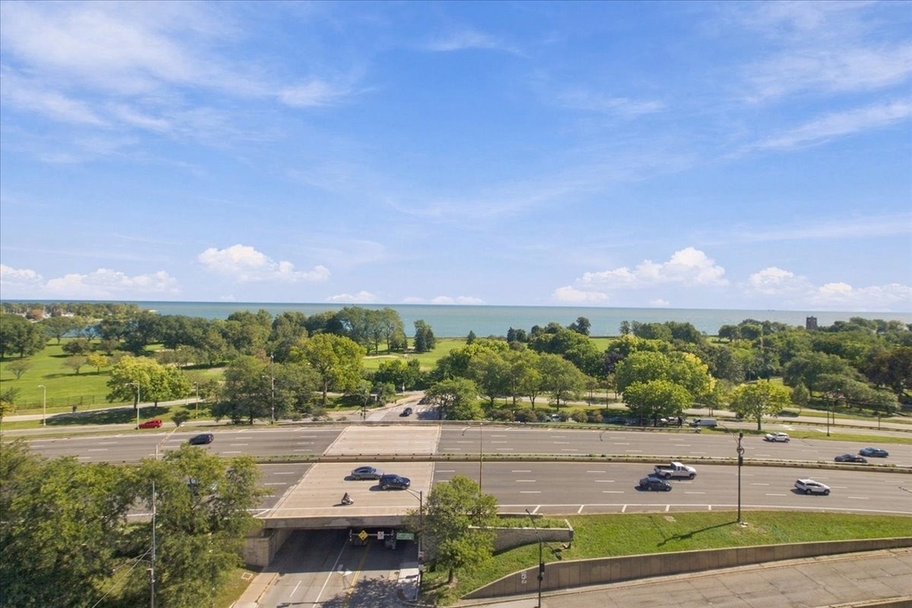 3950 N Lake Shore Drive - Photo 9