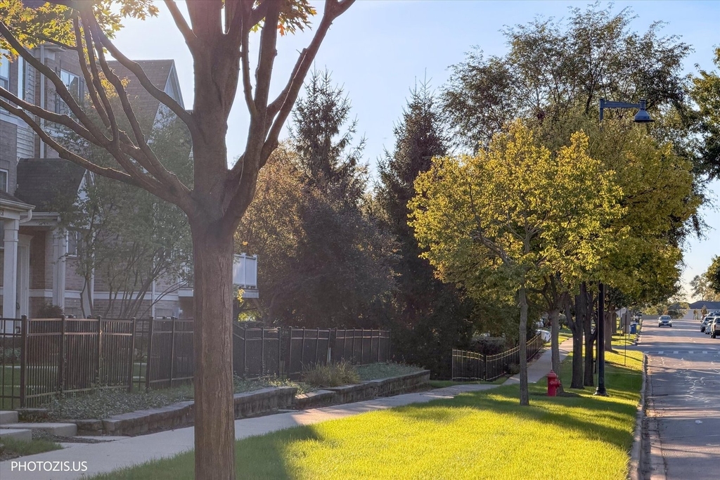 1717 Maple Avenue - Photo 39