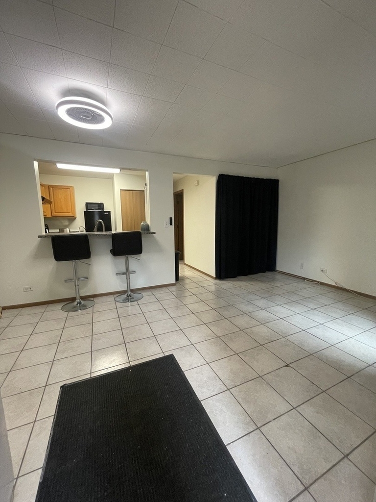 1829 S Carpenter Street - Photo 1