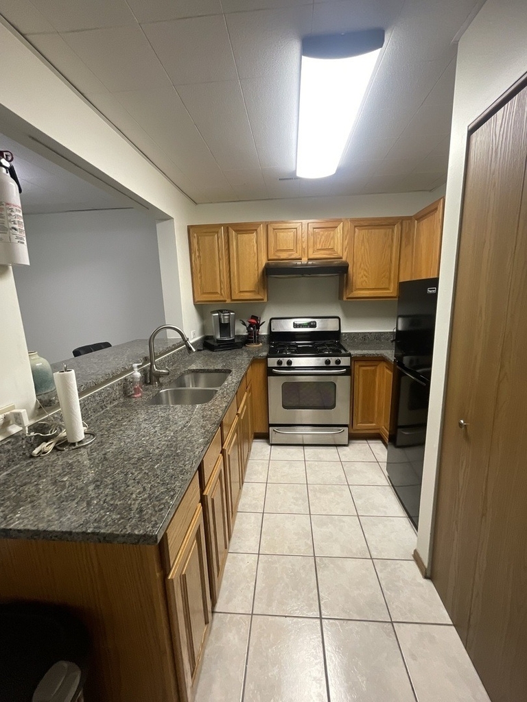1829 S Carpenter Street - Photo 8