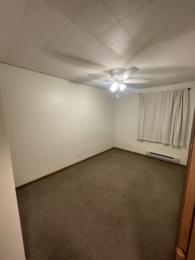 1829 S Carpenter Street - Photo 13