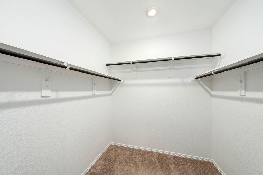 23007 Bright Light Lane - Photo 9