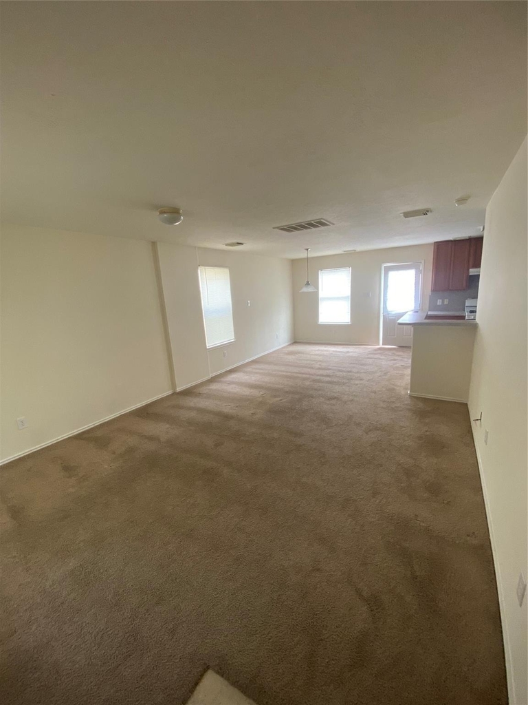 17334 Wigeon Way Drive - Photo 1