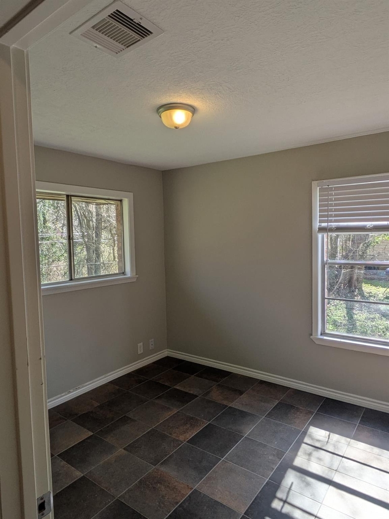 1513 Serpentine Drive - Photo 7