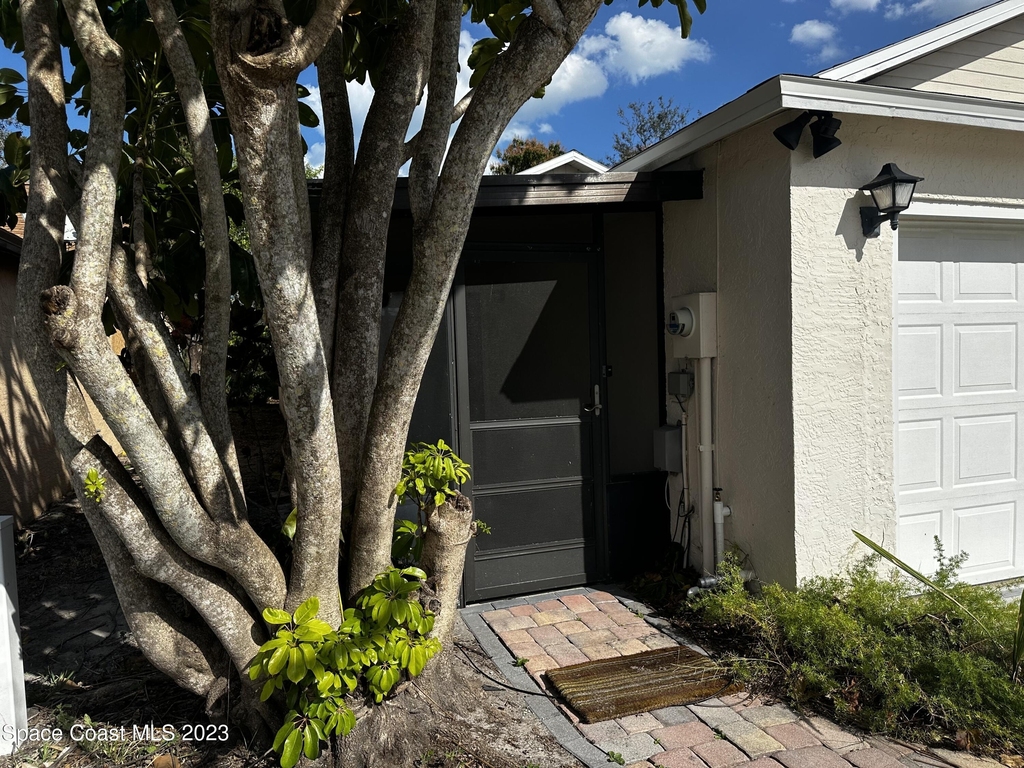 3709 Tree Line Boulevard - Photo 1