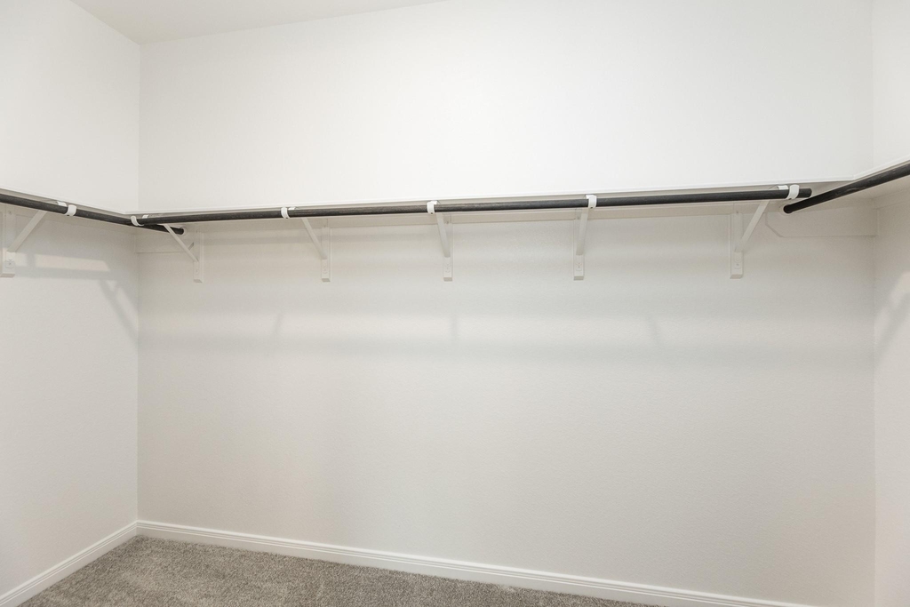 30338 Tall Fescue Drive - Photo 20