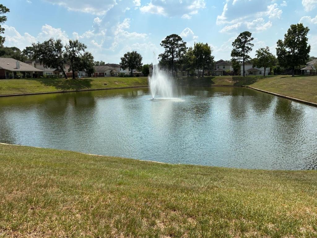 3310 Manor Tree Lane - Photo 39
