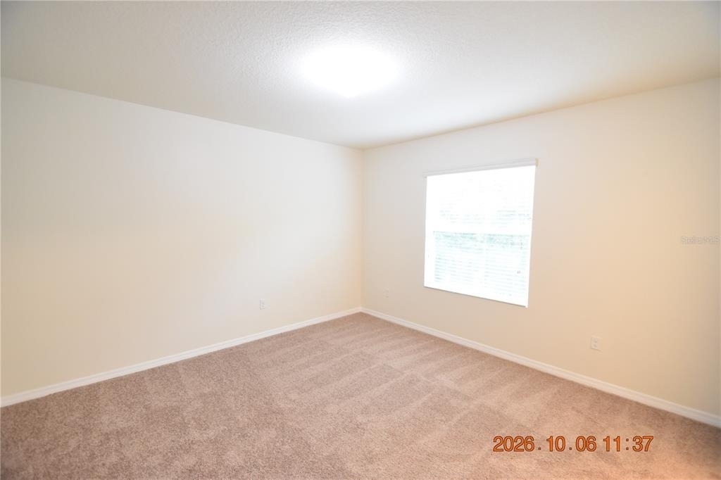 12921 Shady Fern Lane - Photo 14