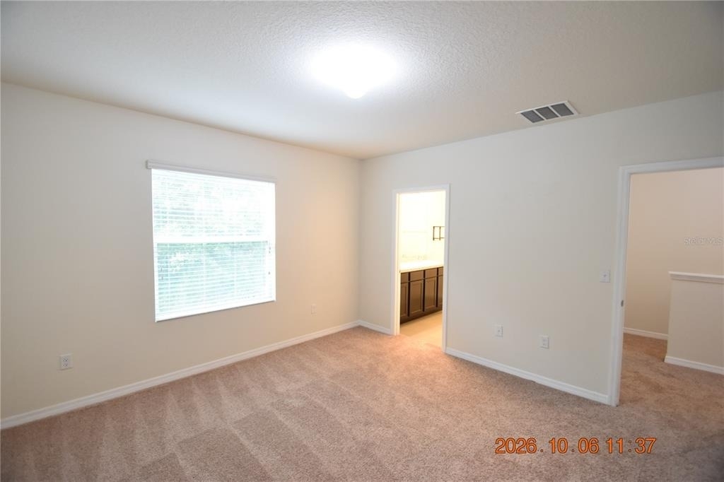 12921 Shady Fern Lane - Photo 15