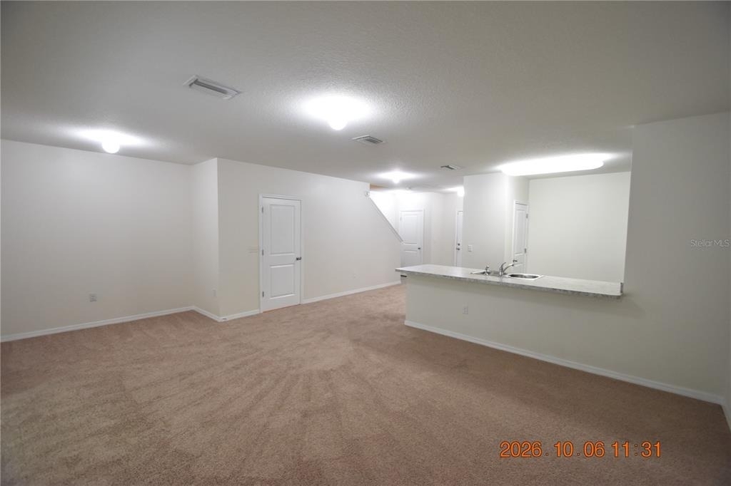 12921 Shady Fern Lane - Photo 4
