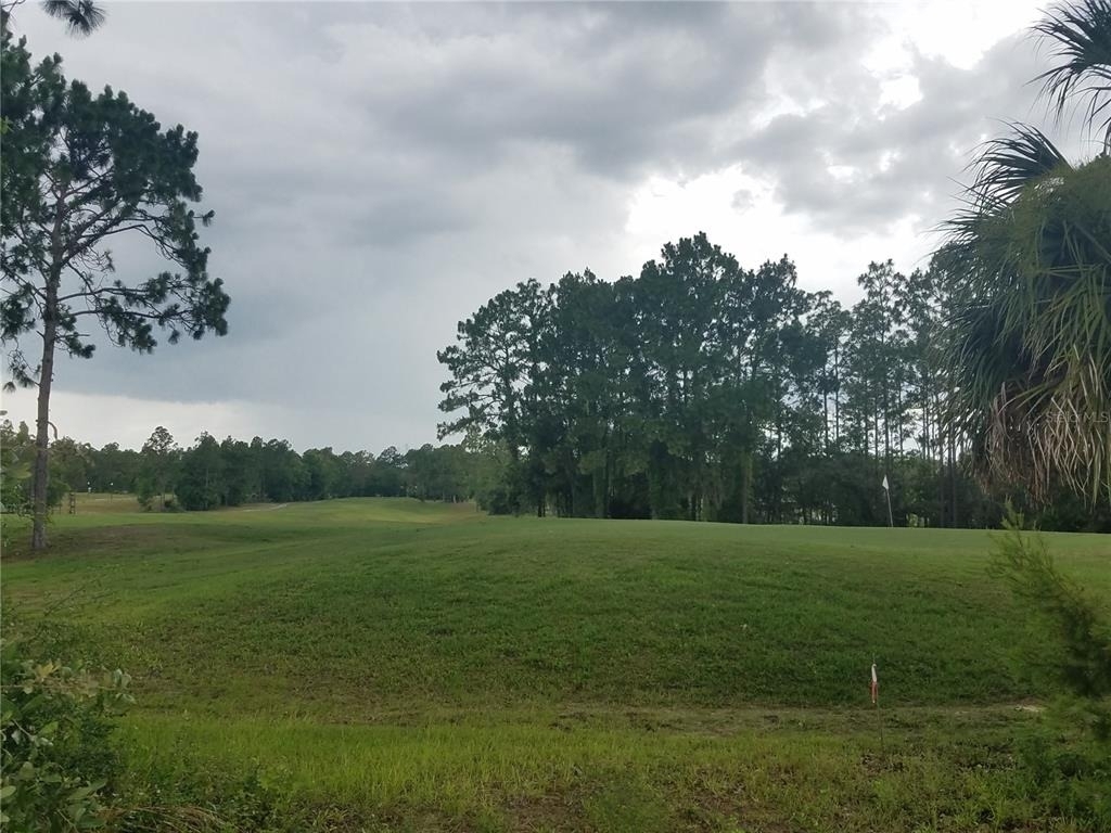 636 Hickory Course Loop - Photo 20