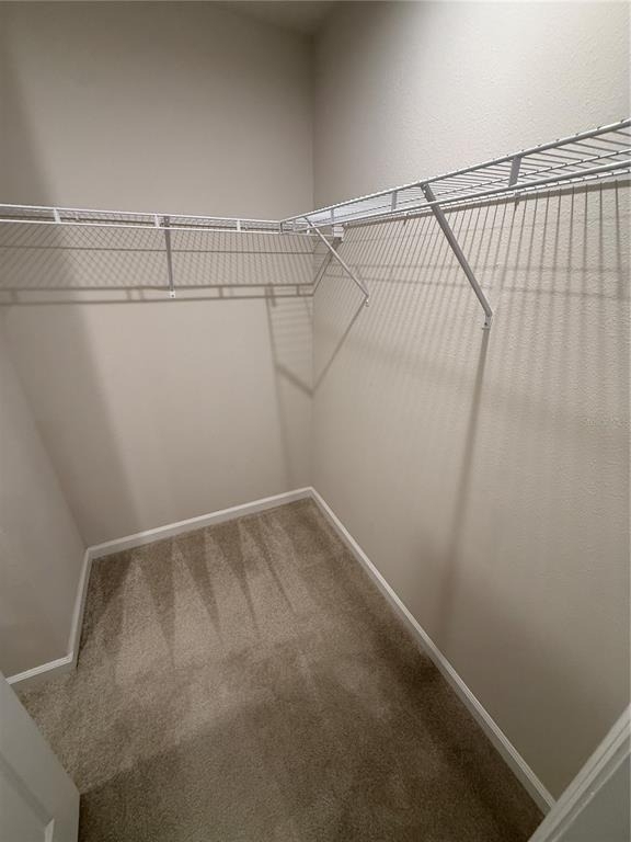 4724 Old Blush Street - Photo 20