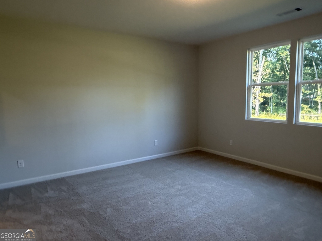 3375 Willow Glade Trail - Photo 15