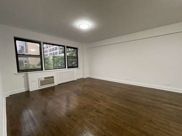 East 50th Street - Photo 2