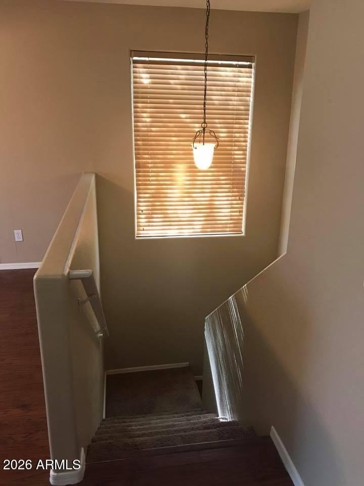 4557 E Del Rio Street - Photo 17