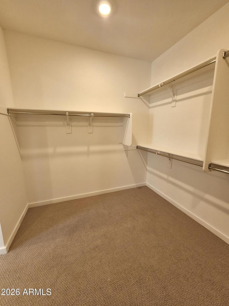 26007 N 160th Lane - Photo 30