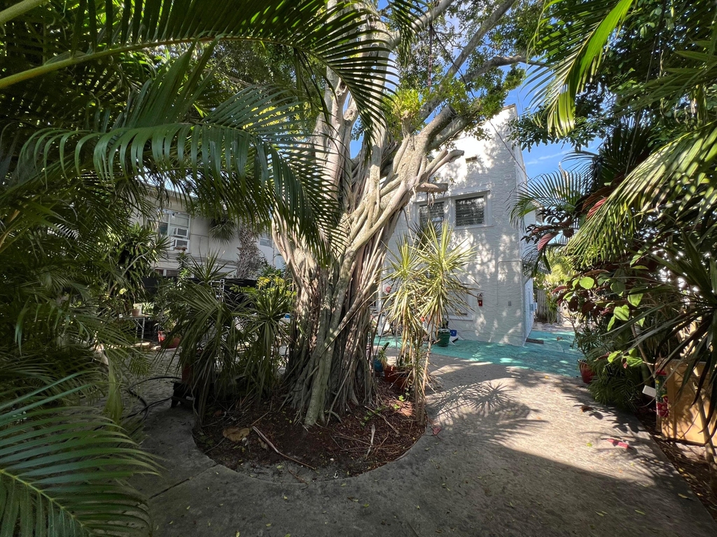 329 N K Street - Photo 3