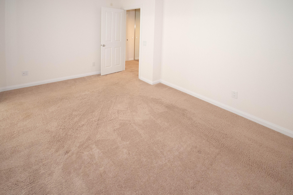 8704 Chapman Oak Court - Photo 25