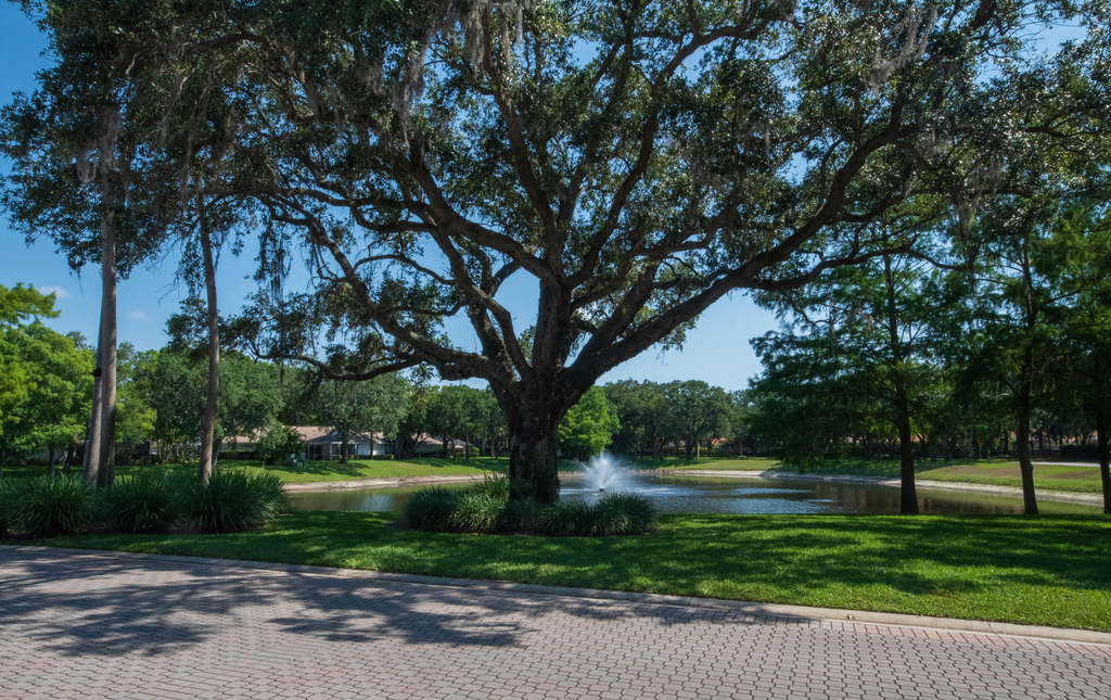 8704 Chapman Oak Court - Photo 38
