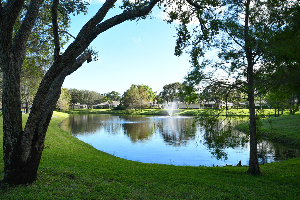 8704 Chapman Oak Court - Photo 33