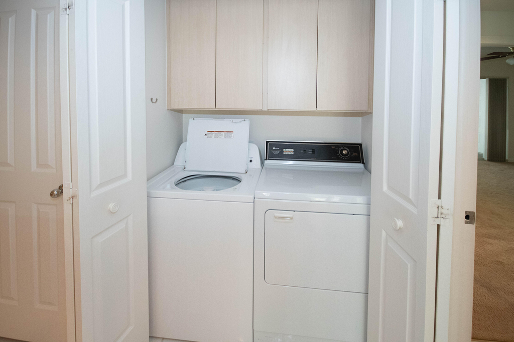 8704 Chapman Oak Court - Photo 16