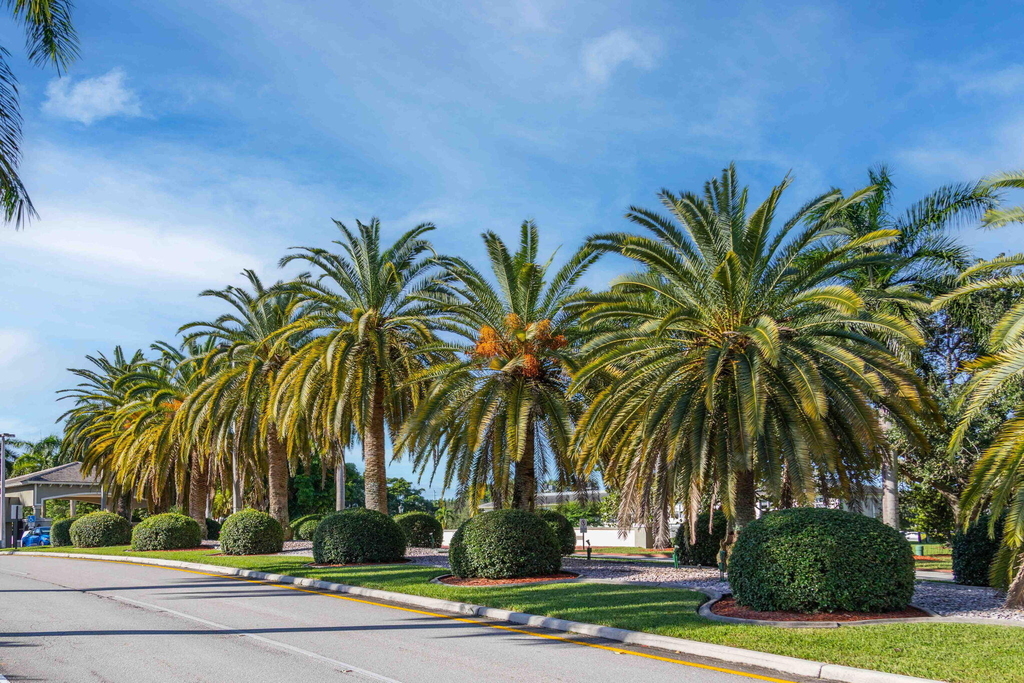 1604 Abaco Drive - Photo 48