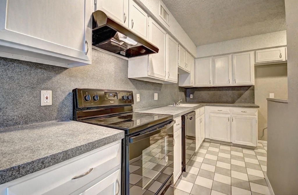 707 E Shady Grove Road - Photo 4