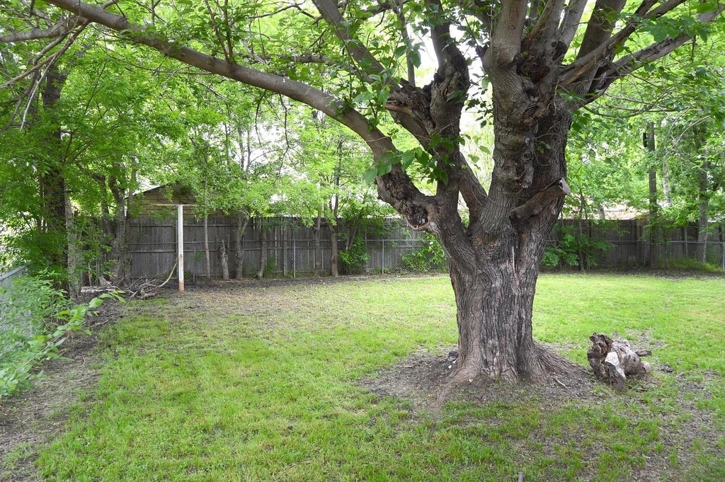 5729 Emerson Drive - Photo 13