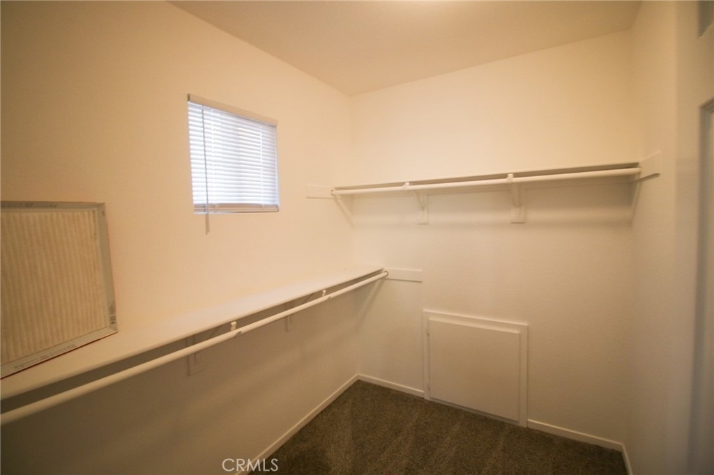 29113 Peppergrass Avenue - Photo 24