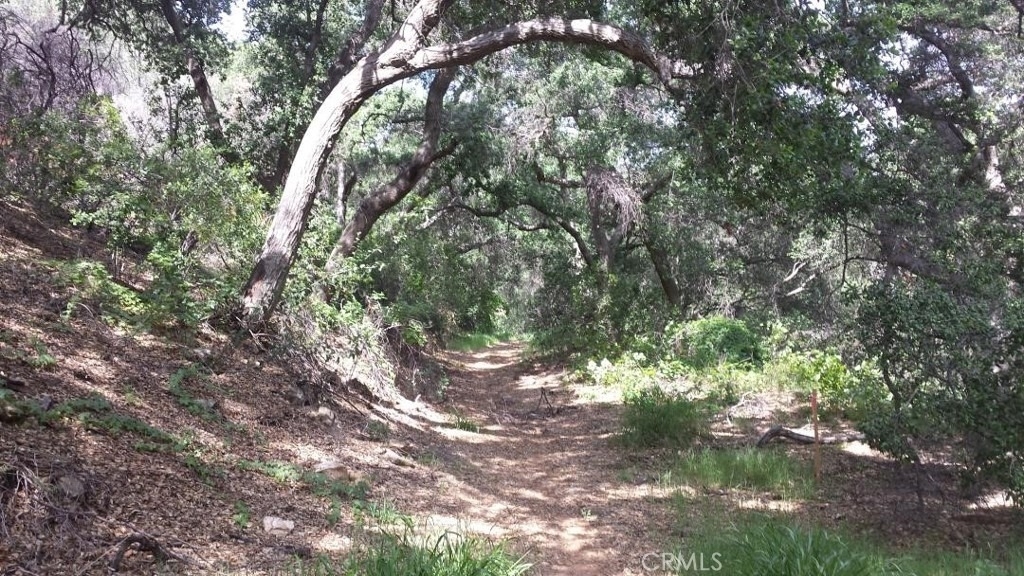 8742 Azul - Photo 25