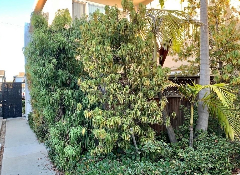 1222 Amethyst Street - Photo 1